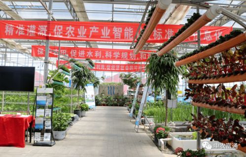 加快工廠化循環(huán)水養(yǎng)殖裝備技術(shù)創(chuàng)新，助推水產(chǎn)養(yǎng)殖綠色高效發(fā)展